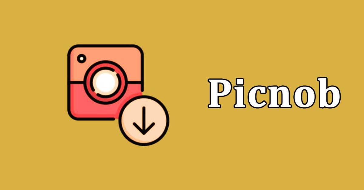 Picnob Instagram Viewer and Downloader